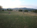 DSC00328